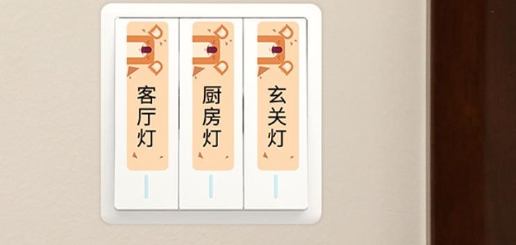 生活收纳好帮手：雅柯莱小标D30便携标签打印机体验