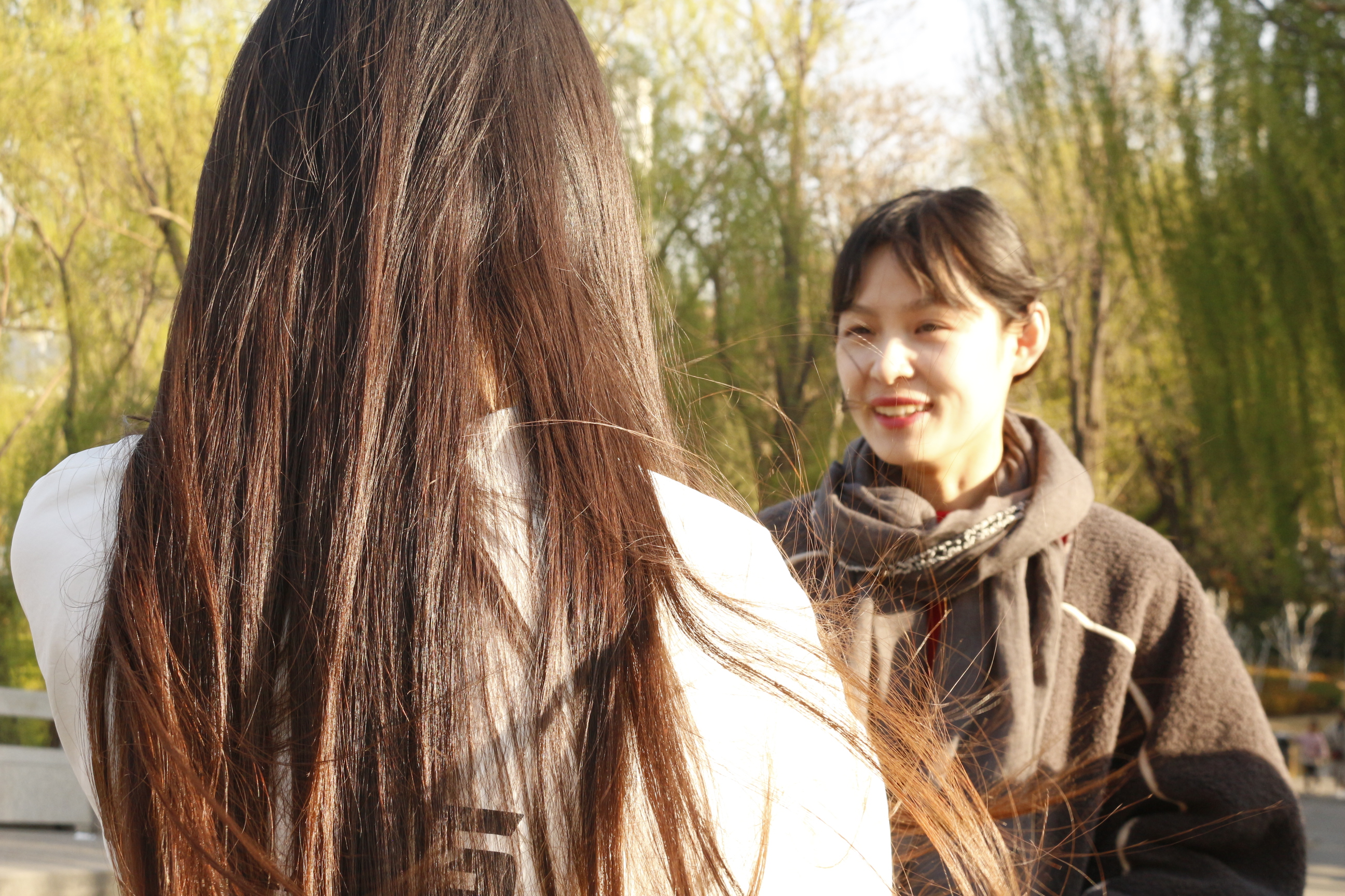 张玉励志讲堂推荐几本热血励志的玄幻小说？掌劈乾坤脚踏苍穹？