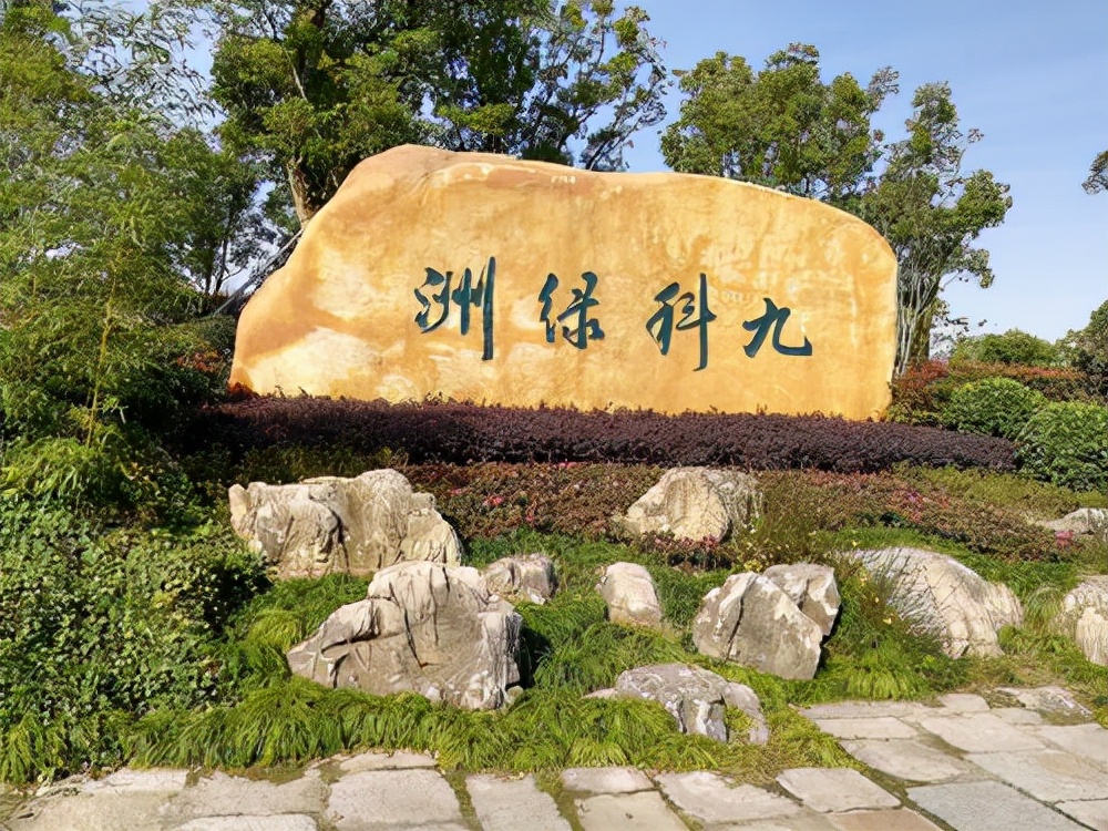 上海松江区九亭镇怎么样2020年,上海松江九亭闵行七宝