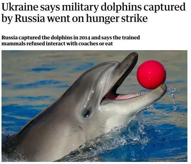 各国秘密间谍行动,各国间谍战有多凶险