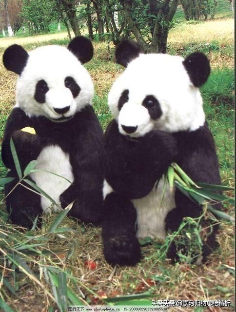 高中数学几何内容新旧对比,初高中数学几何知识点衔接