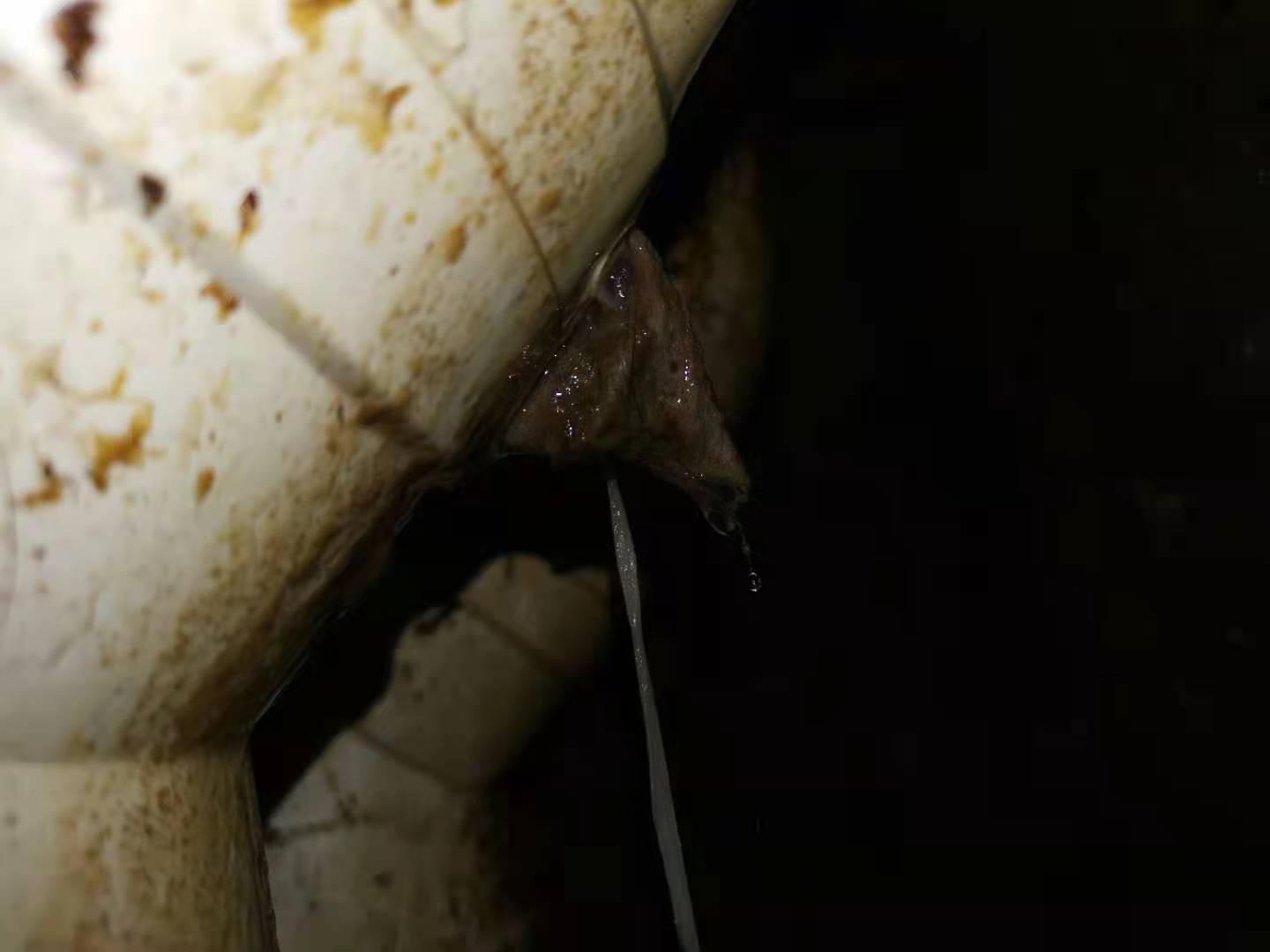 卫生间排污管怎样防漏水,卫生间排污管漏水的最佳解决方法