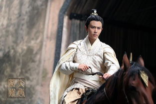 任嘉伦哪年进娱乐圈,英年早婚的男星任嘉伦28岁喜当爹