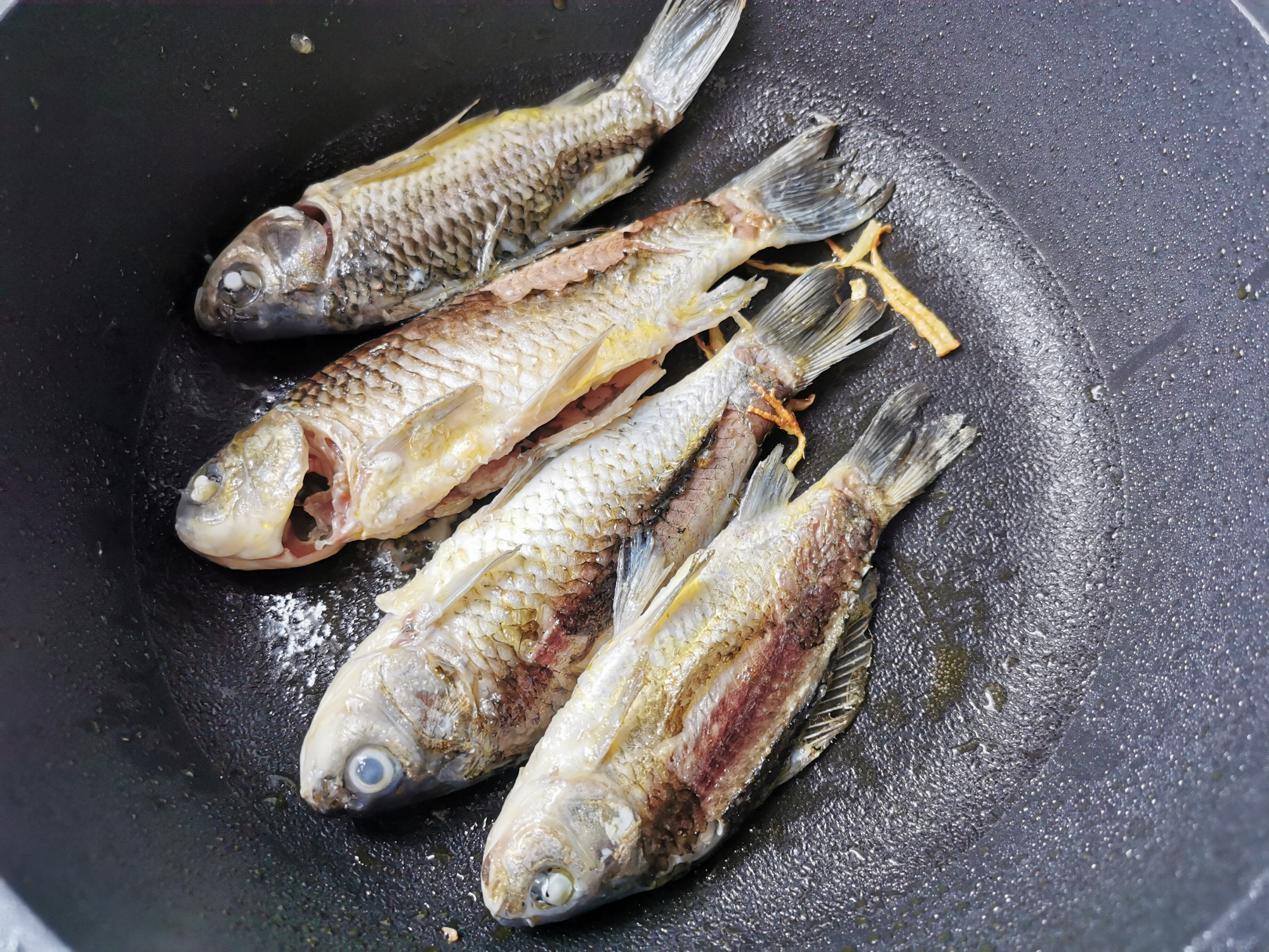 老人喝什么鱼汤最好,什么鱼不适合熬鱼汤