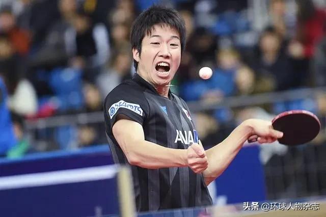 水谷隼参加的日本综艺,水谷隼绯闻