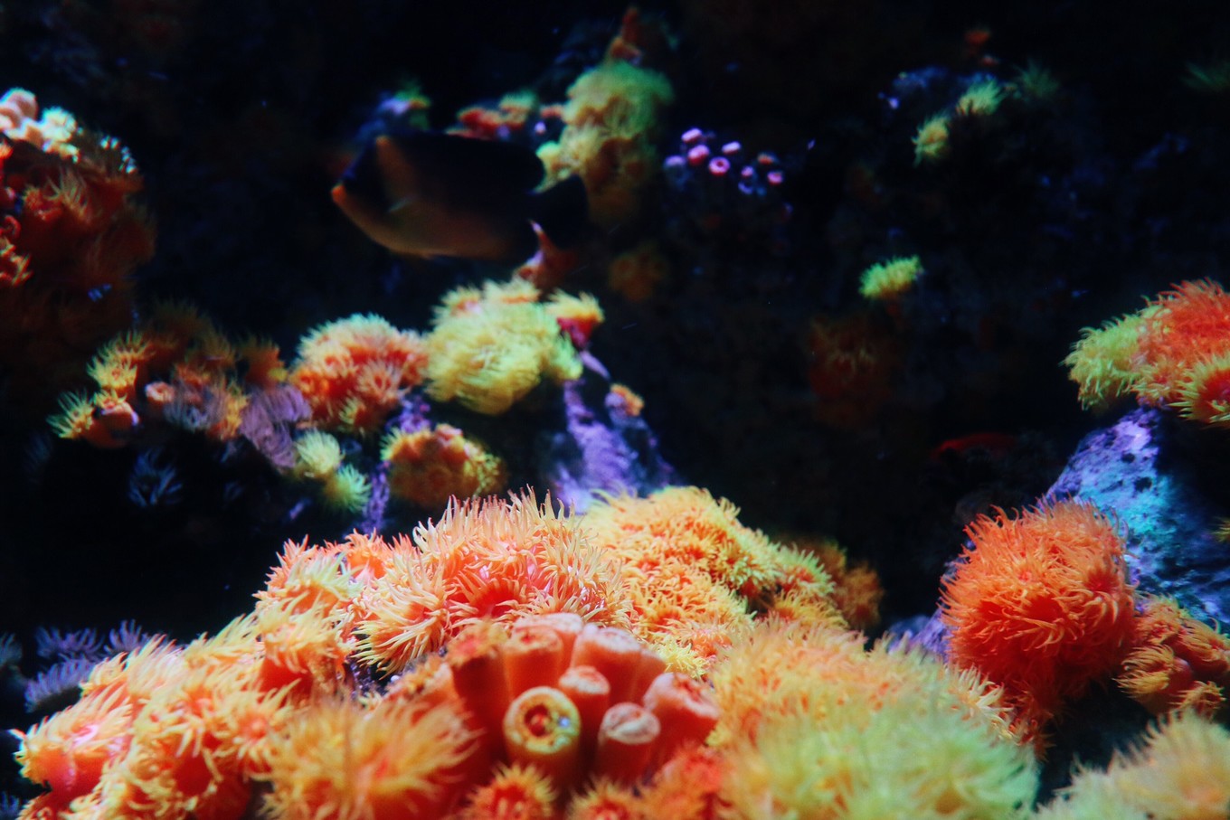 圣淘沙名胜世界攻略,请收下这份旅游攻略