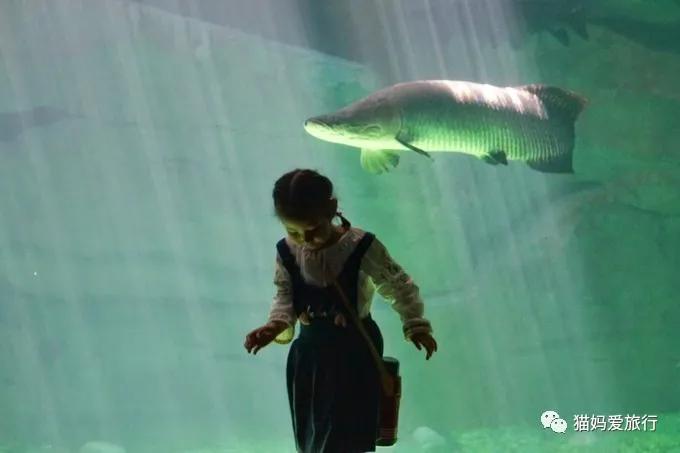 齐河附近带孩子自驾游景点,周边亲子游齐河