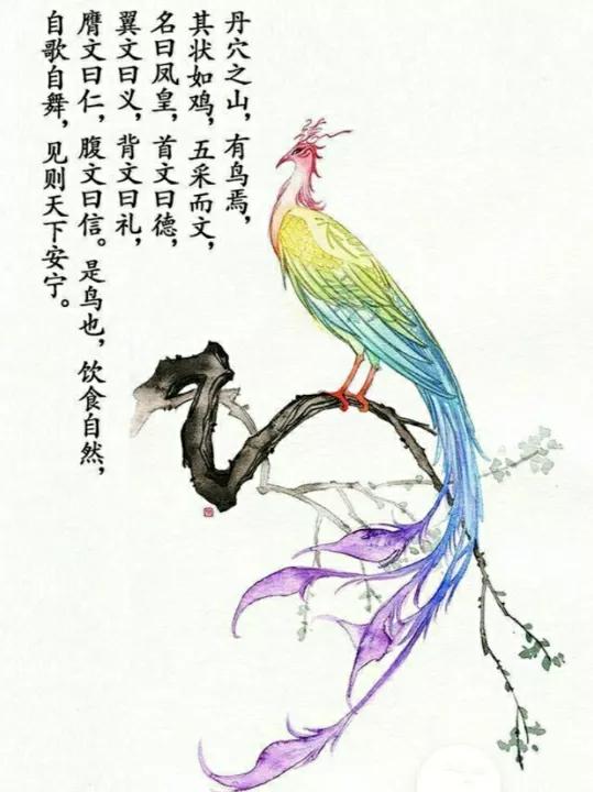 凤凰涅槃到底是什么样的一个情景