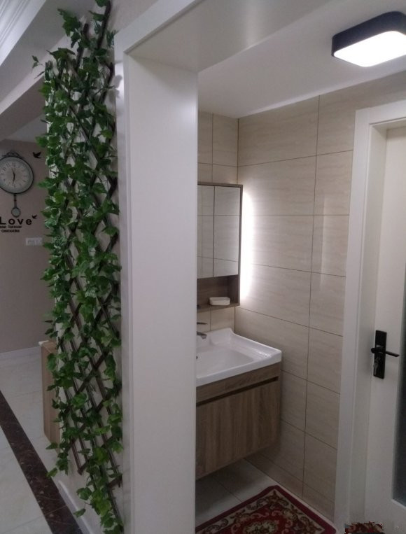 刚装修好的房子放什么假花,装修后的塑料花