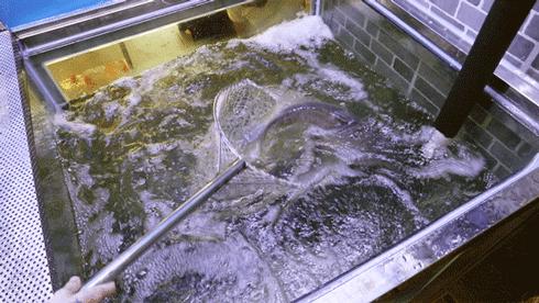 8年老店老味道,8年的酸菜鱼店值得大家去尝尝