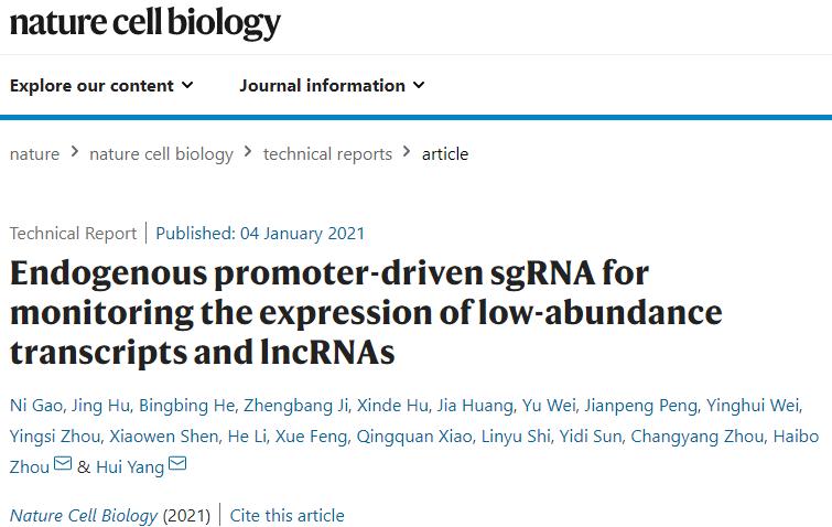 中科院上海脑神经研究所杨辉,中科院杨辉科研团队