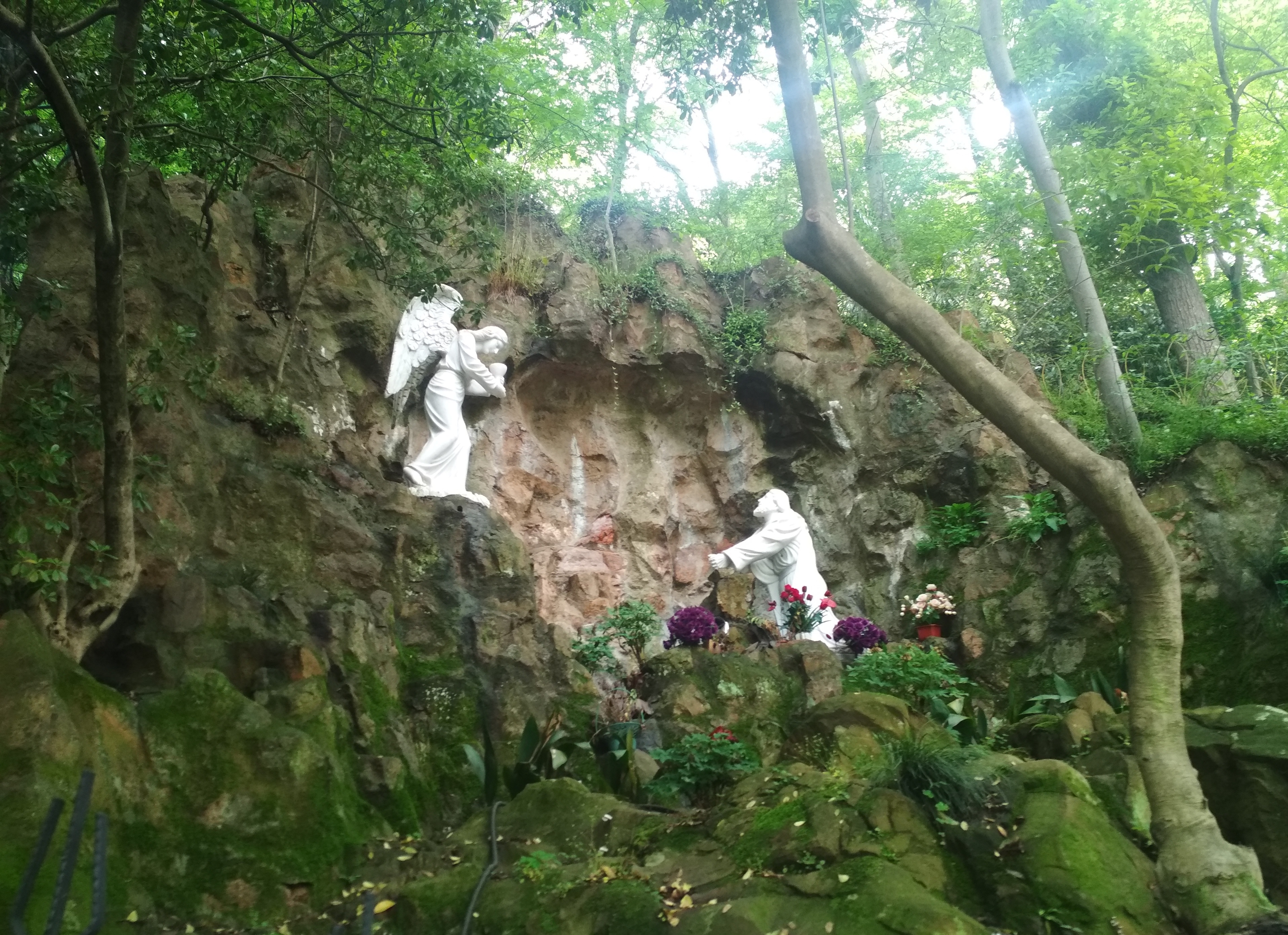 上海佘山国家森林公园顶峰风景,上海佘山最高点