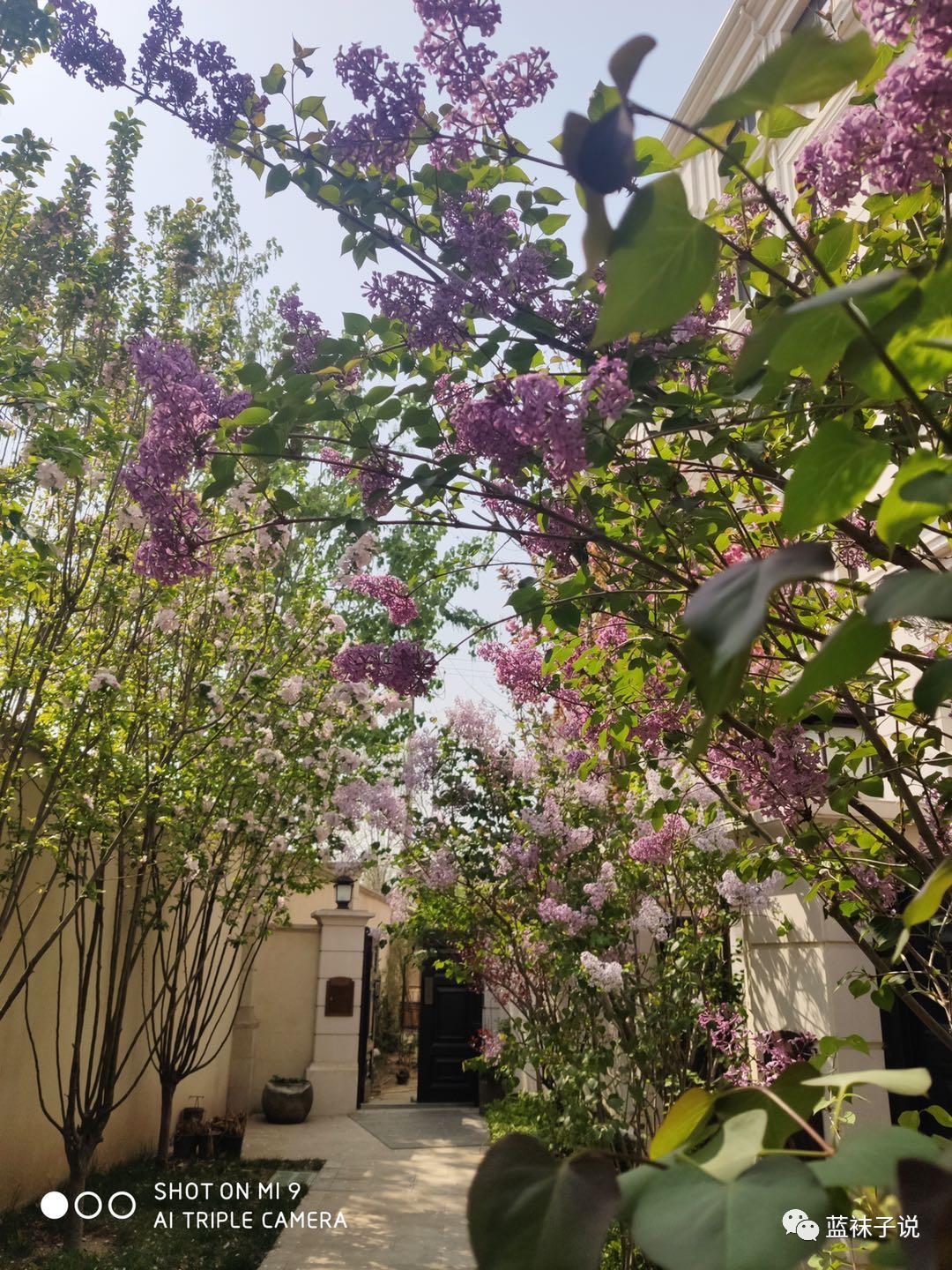 最近想得比较多胡思乱想,最近想事情想得多了