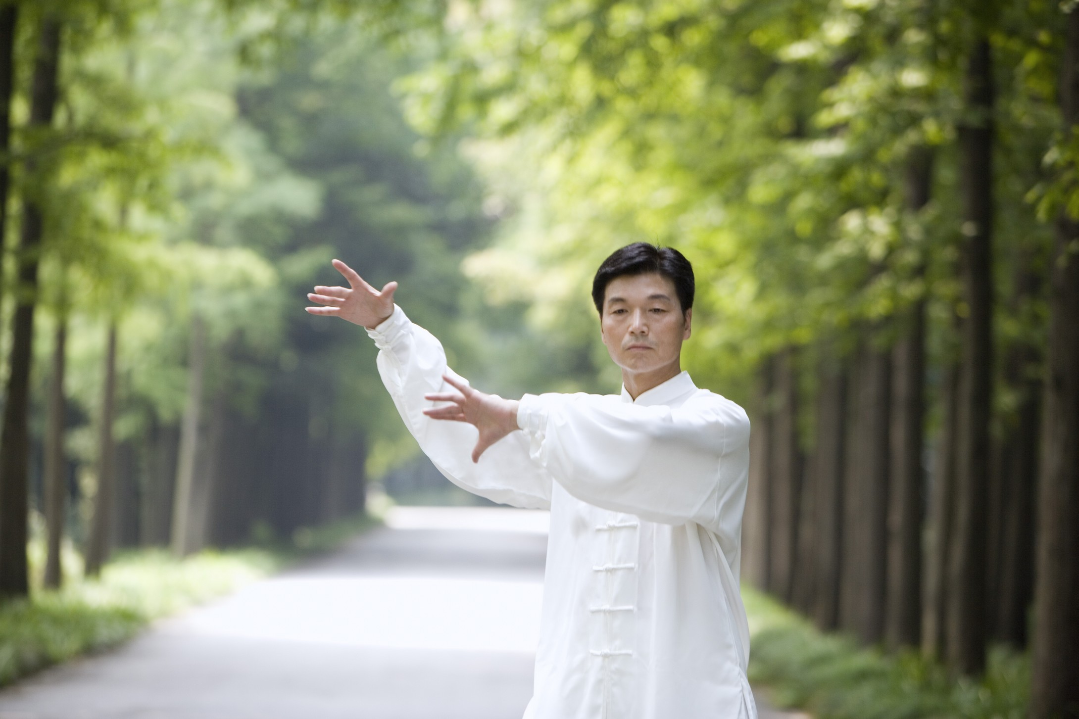 杨式28式太极拳传统动作演示,怎样学练杨式24式太极拳