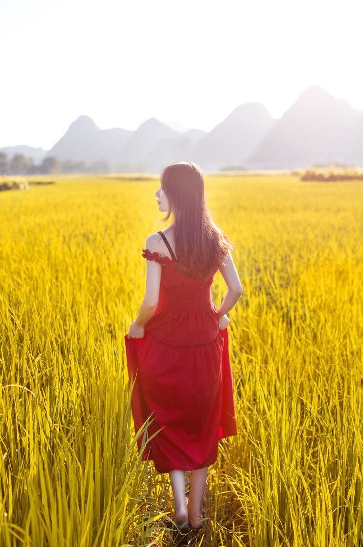 高考满分作文故乡,高考满分作文故乡的路