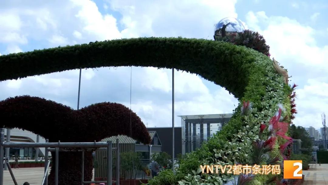 昆明100个立体花坛位置,昆明cop15立体花坛