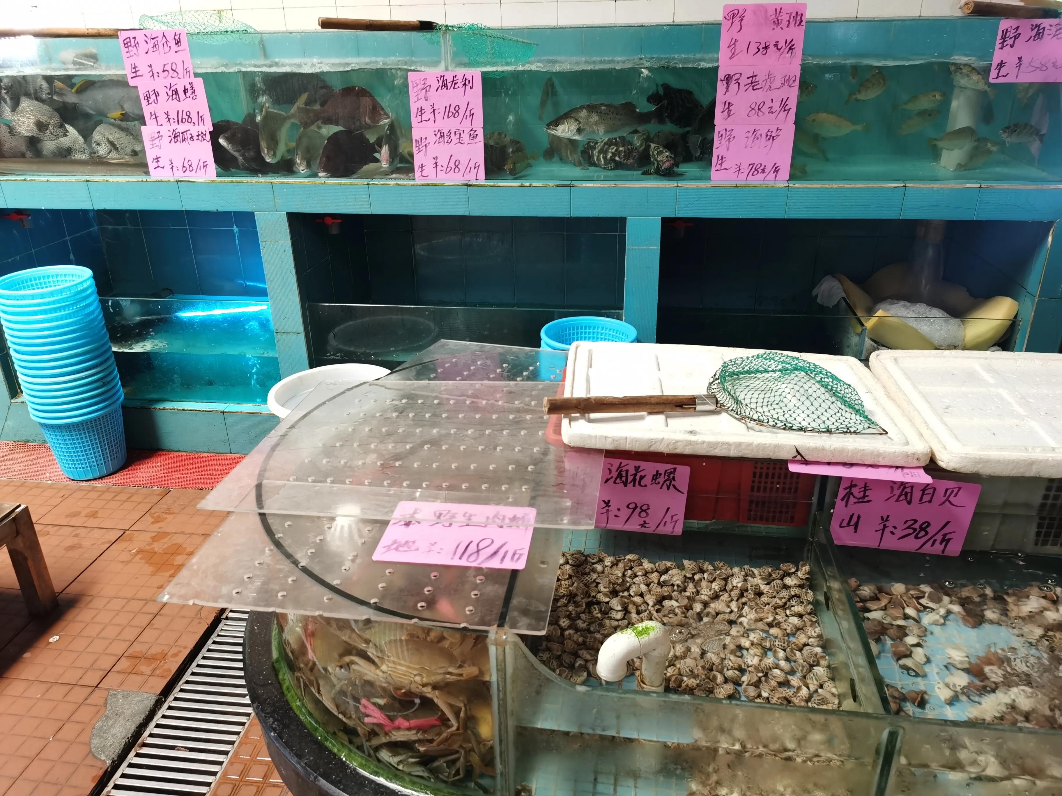 珠海偏僻人少的赶海地,珠海沙滩晚上露营赶海最佳地方