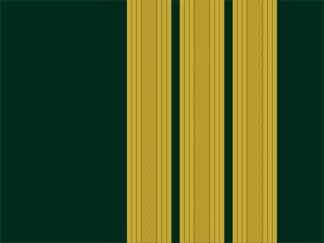 各国军衔标识葡萄牙,西班牙军衔等级一览表