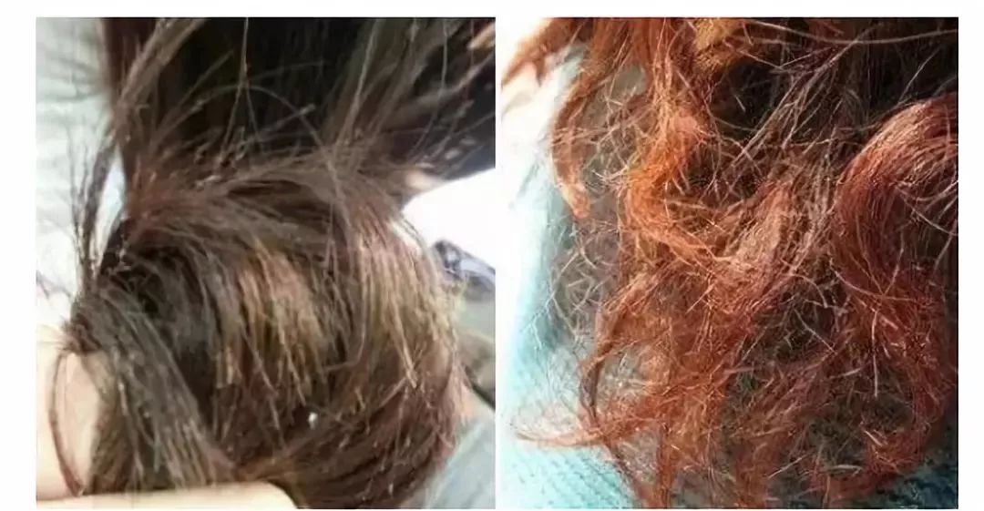 王祖贤最惊艳的一张照片图文,王祖贤最美哭照