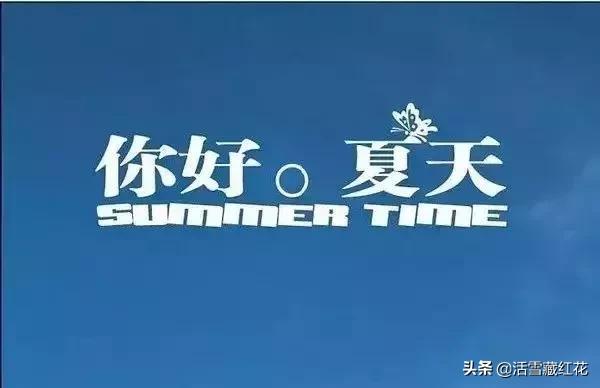 大红花藏红花适合夏天喝吗,藏红花怎样度夏