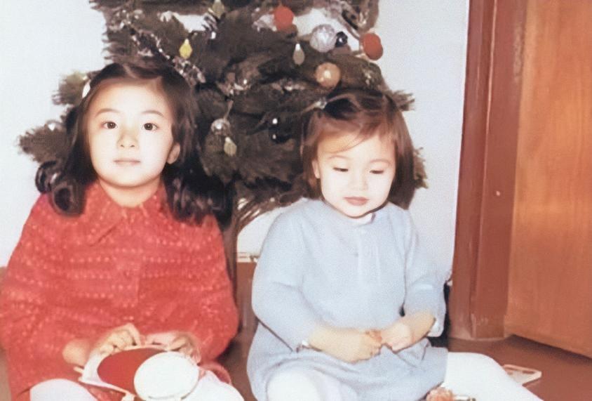 李嘉欣千亿豪门,最强小三收入