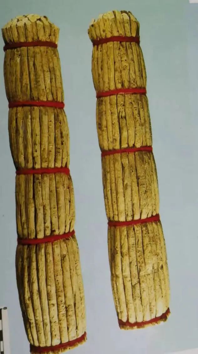 黄芪15克仙鹤草10克泡水喝作用,经常喝黄芪煮水有什么好处