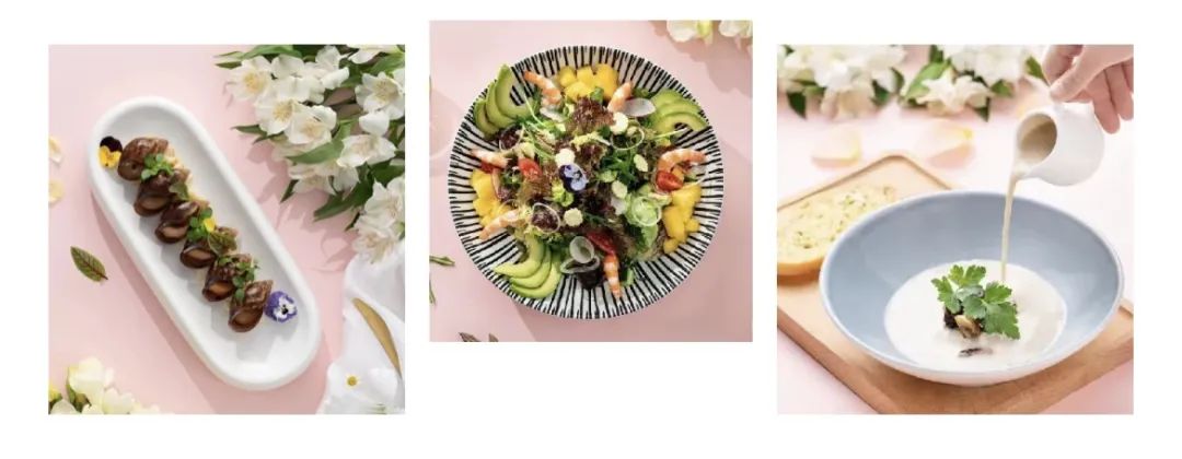 带娃去看世界,带娃看世界旅游