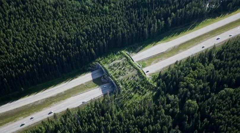 名校动态|看宾大景观系师生如何探索50年来的自然景观设计变迁