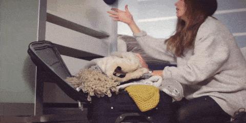 海尔冰箱假日功能是什么意思,冰箱假日功能温度高还是低