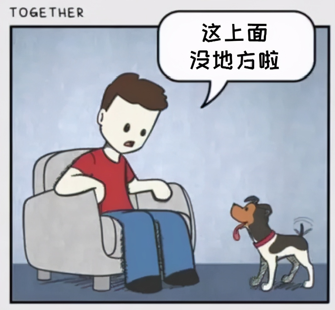 猫和铲屎官漫画全集,铲屎官和狗子的漫画