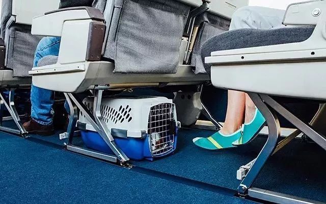 光脚也不过如此！风靡30多国近5星好评“呼吸鞋”，脚趾头都舒坦