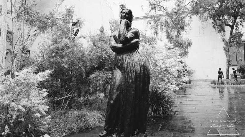 澳洲堪培拉景色,澳洲堪培拉动物园