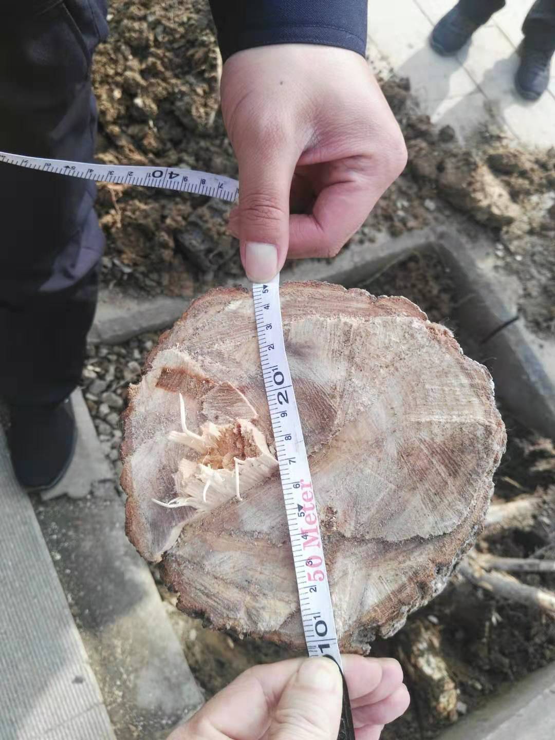 漯河市城市管理局综合执法,漯河市城市管理综合执法大队电话