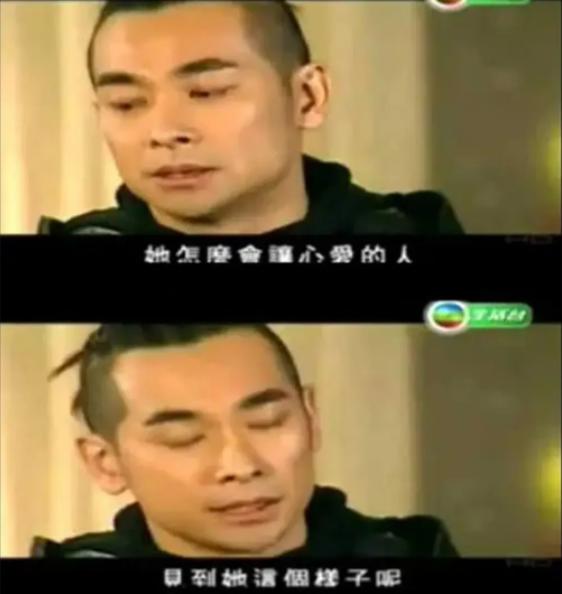 赵文卓回忆与梅艳芳恋情,赵文卓回忆梅艳芳此生挚爱