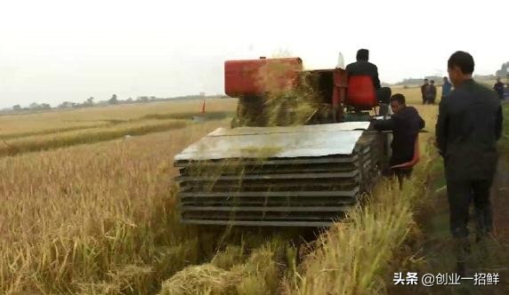 农业新科技专利技术,农业科学专利发明