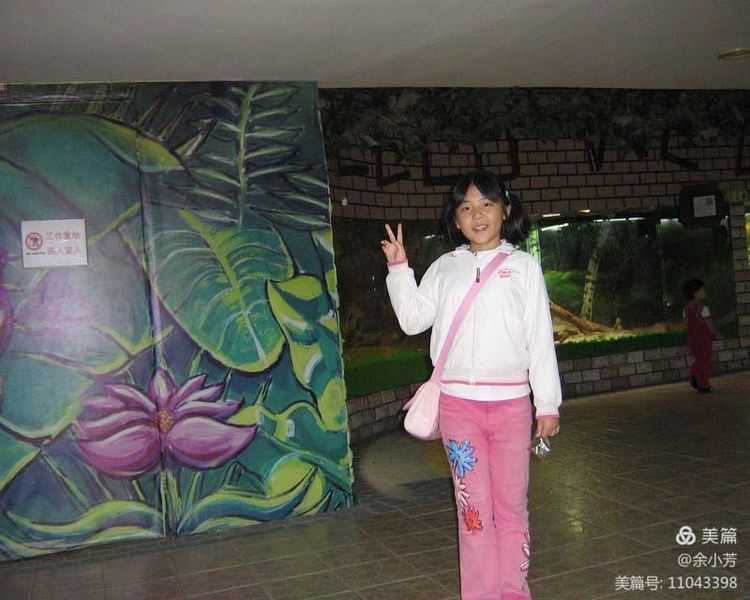 上海野生昆虫馆,上海昆虫馆门票多少