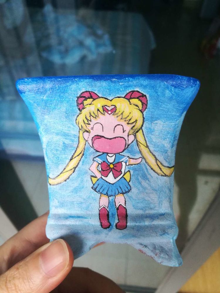 误打误撞的多肉情缘,带我走进多肉小世界!