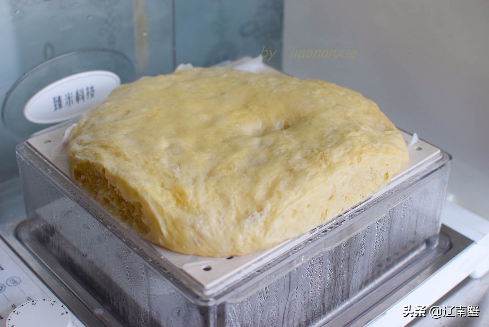 洗面筋凉皮的家常做法,如何自己做凉皮面筋的方法