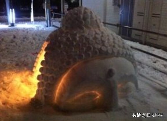 濡傛灉鍫嗛洩浜烘湁娈典綅,鍋囧鍫嗛洩浜烘湁娈典綅