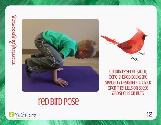 卡尔和爷爷,瑜伽卡和健身卡哪个好