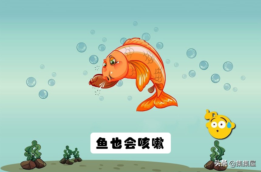 大自然中不常见的动物,关于大自然的动物百科