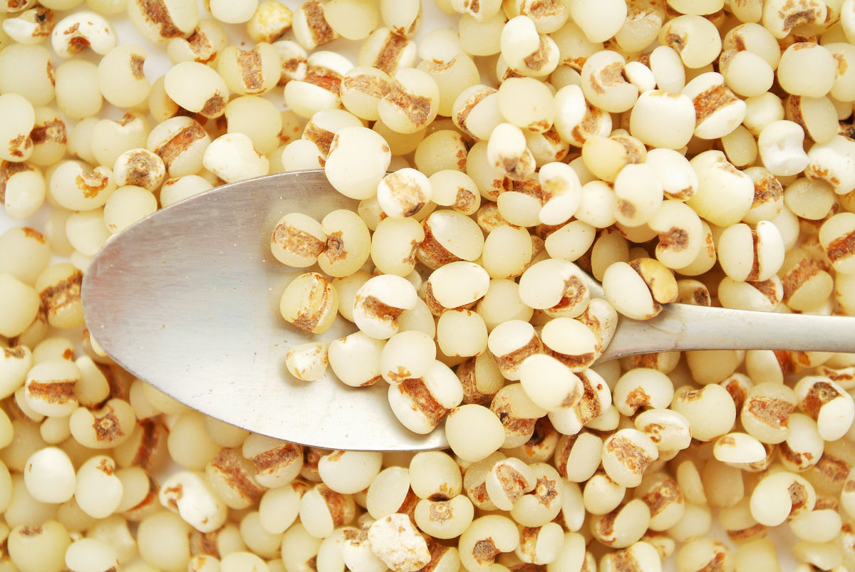 湿气重白带多瘙痒怎么办,女性湿气重白带异常怎么调理