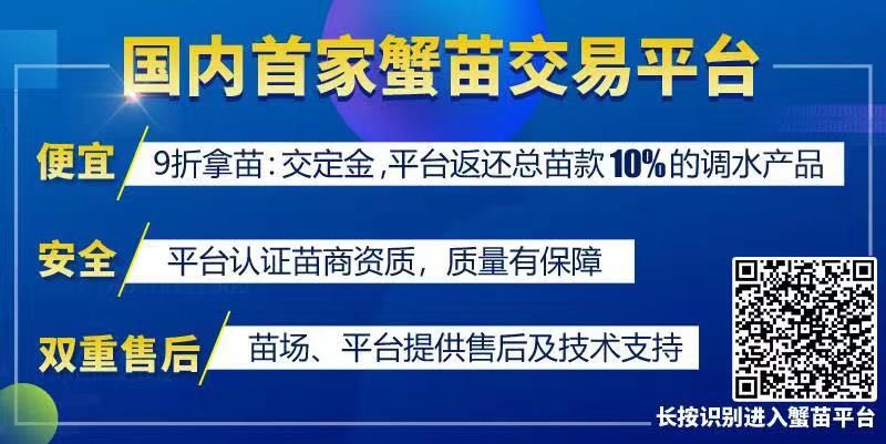 冬季冰下捕鱼的最佳方法,冬季撒网捕鱼时间和方法