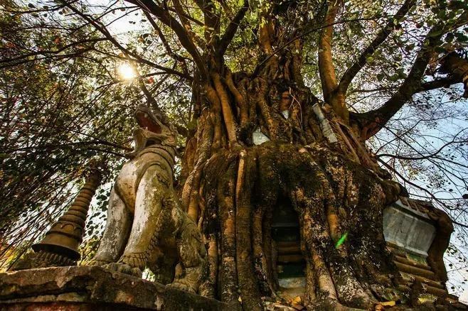 西南边境上的神秘潘多拉，比西双版纳还美，一不小心就出国