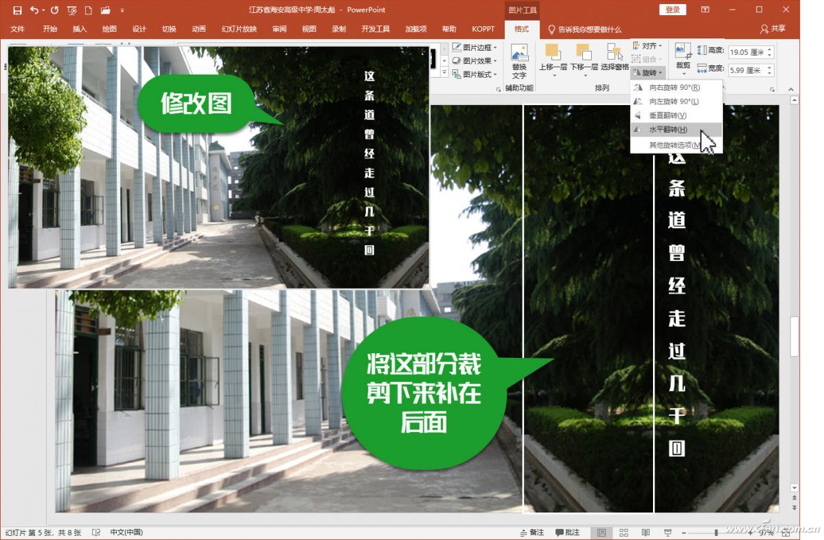 ppt表格排版设计技巧,ppt图片排版技巧单图