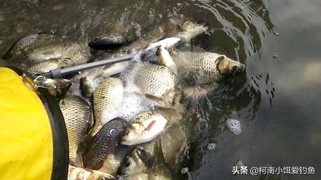 钓鱼避免小杂鱼的方法,关于钓鱼的十大忠告