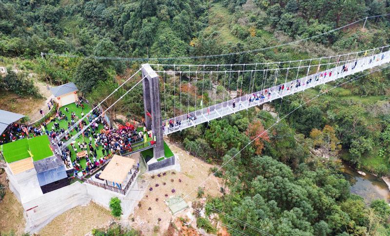 广东开平天露山梅花,广州新兴天露山梅花