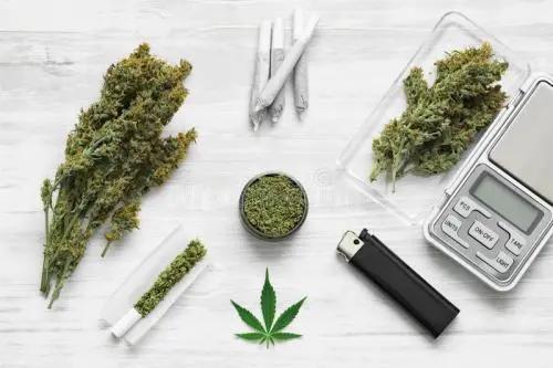 6月26日国际禁毒日佛山直播,6月26日禁毒日新闻