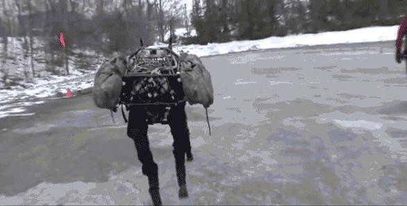 养狗嘛？53万、世界首富同款