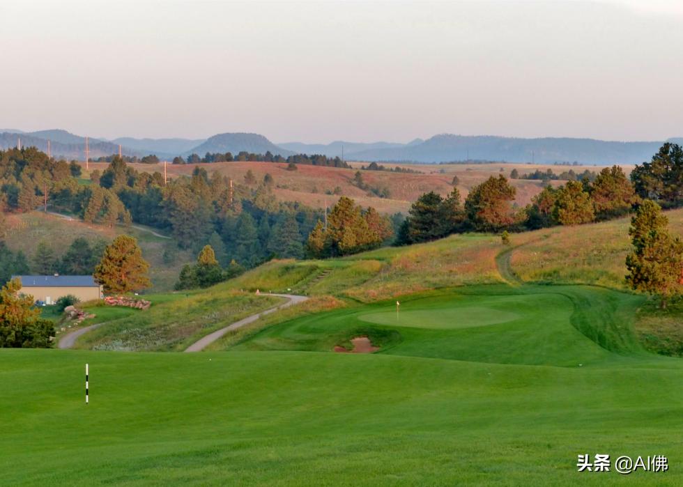 美国圆石滩高尔夫球场,美国高尔夫球场数量